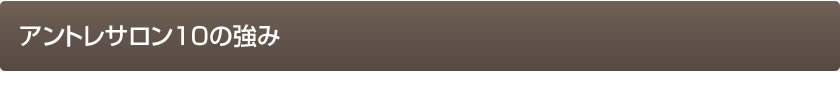アントレサロン１０の強み